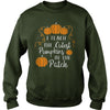 I TEACH THE CUTEST PUMPKINS IN THE PATCH T-SHIRT