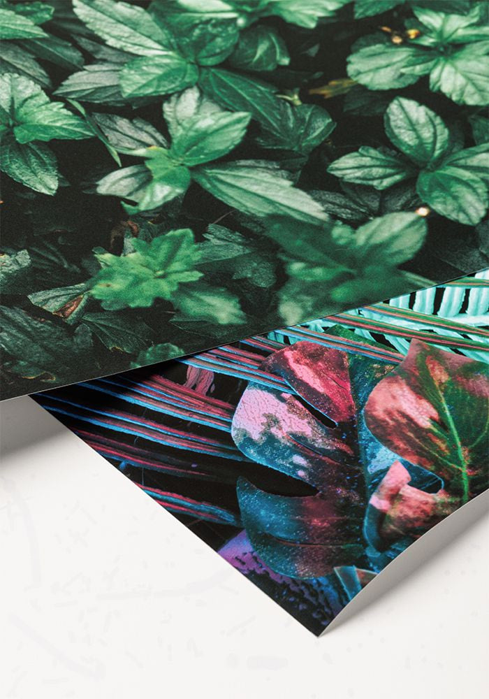 Enhanced Matte Paper Poster (in)
