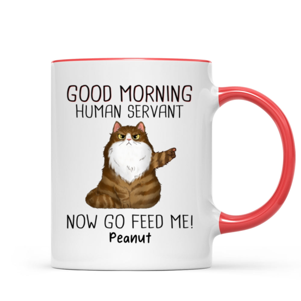 Mug (test pattern)