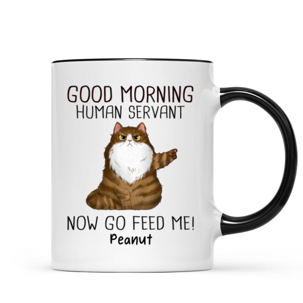 Mug (test pattern)