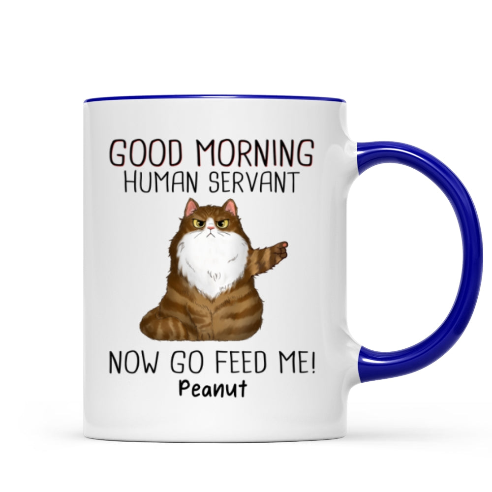 Mug (test pattern)