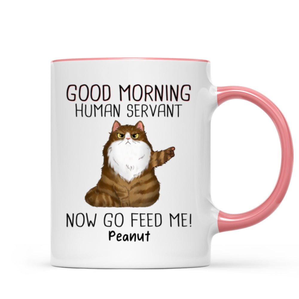 Mug (test pattern)