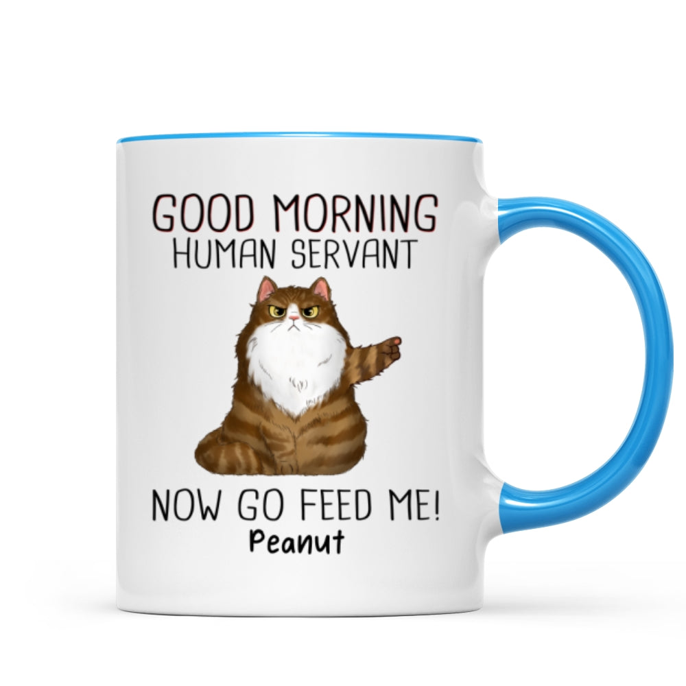 Mug (test pattern)