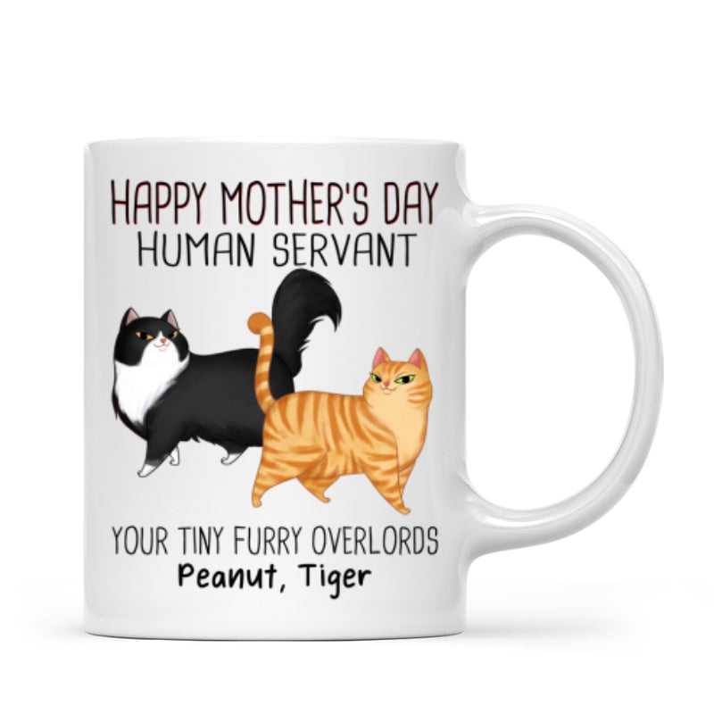 Cartoon Walking Cat Happy Mother‘s Day Human Servant Personalized Mug