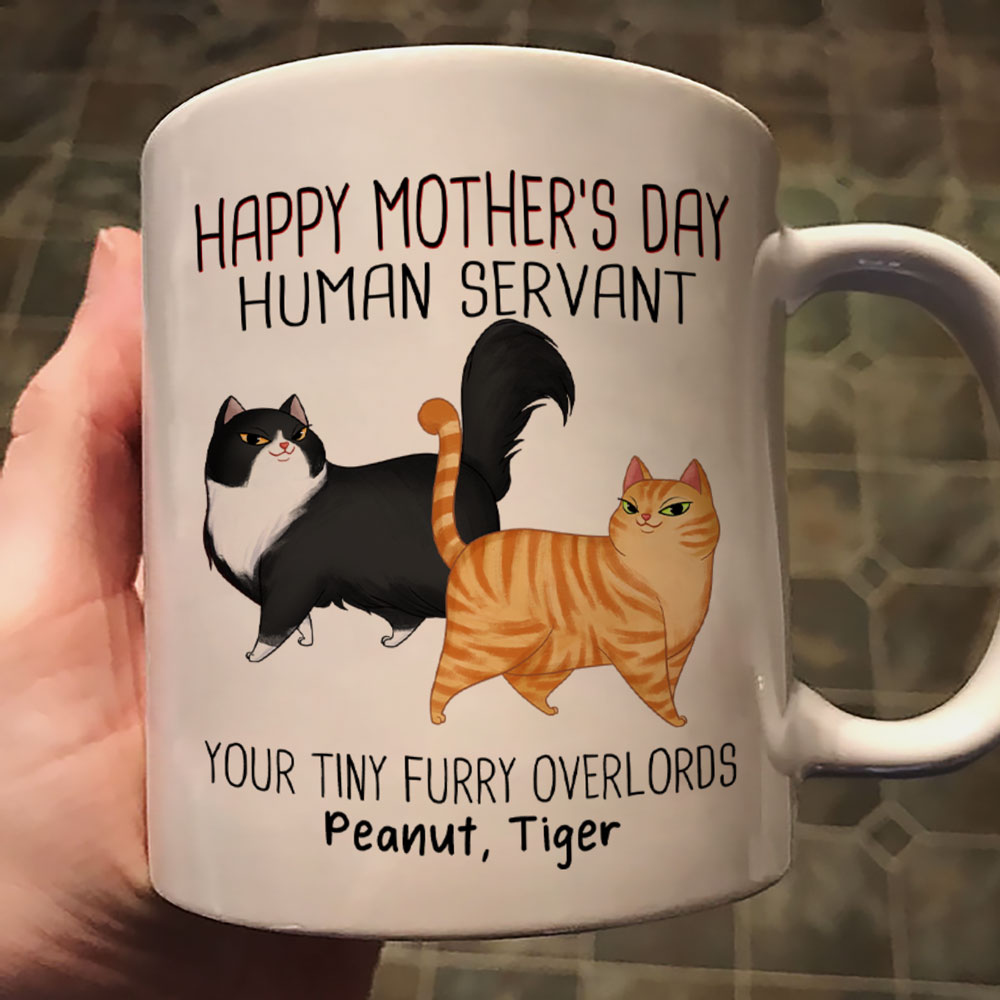 Cartoon Walking Cat Happy Mother‘s Day Human Servant Personalized Mug