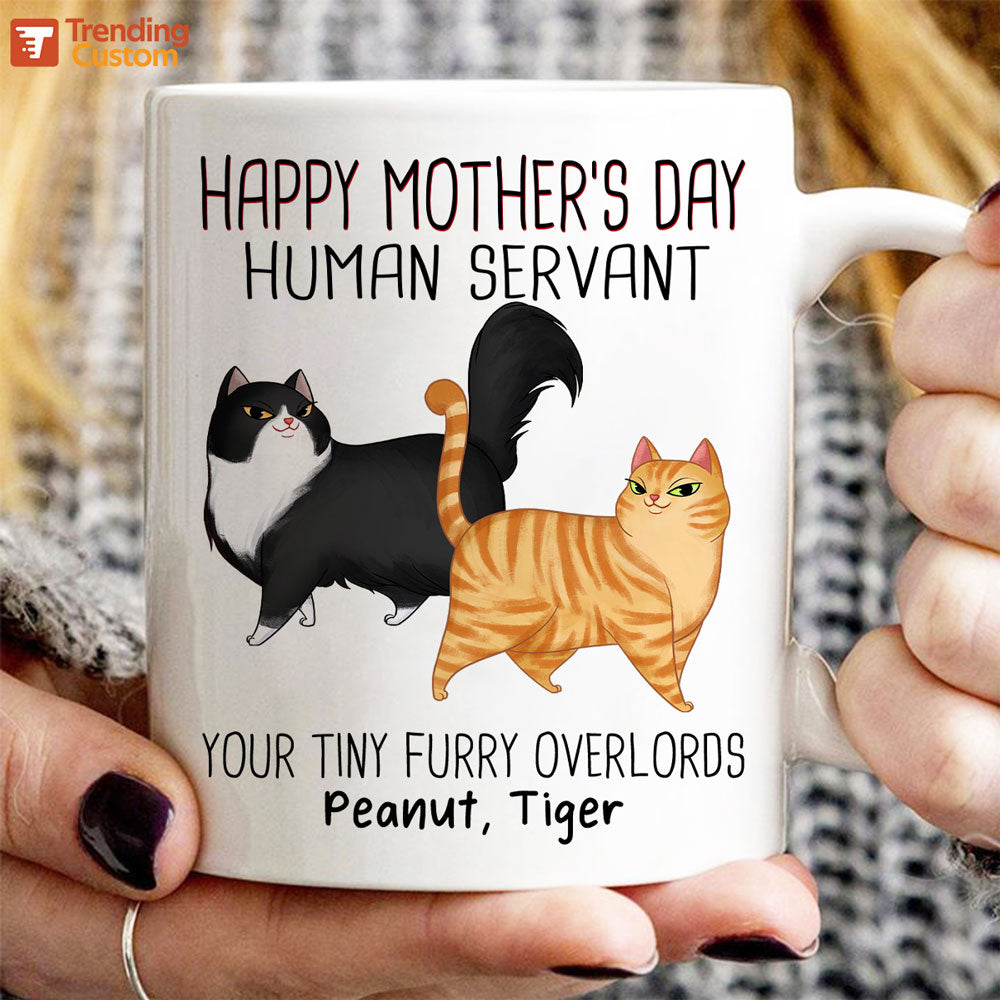 Cartoon Walking Cat Happy Mother‘s Day Human Servant Personalized Mug