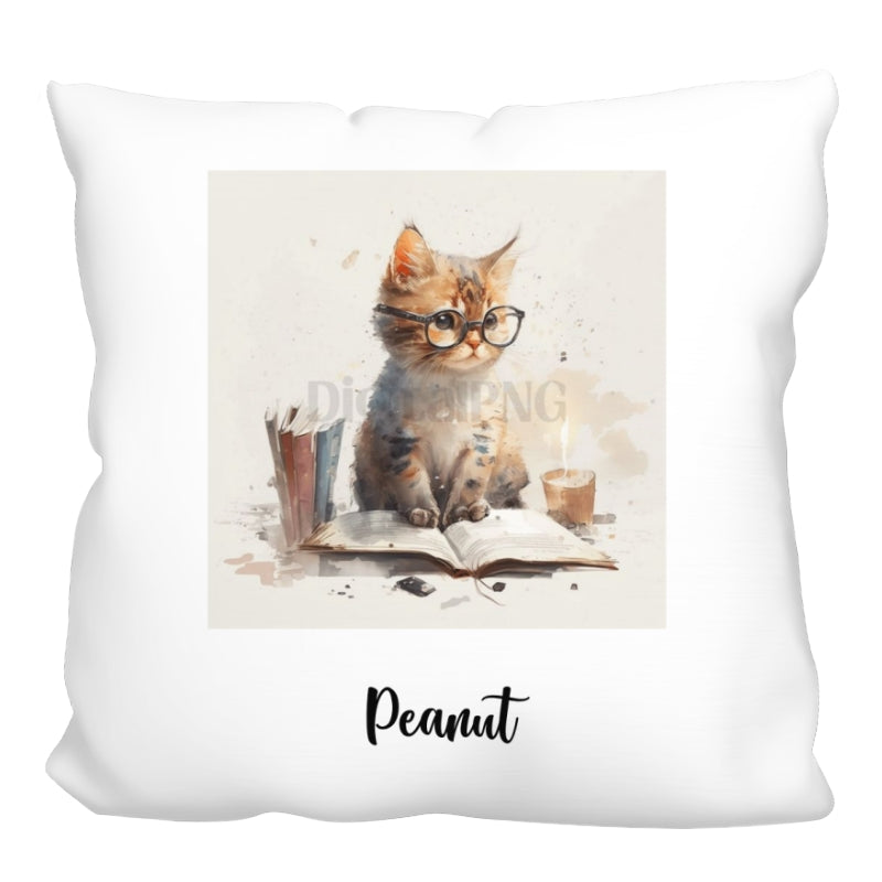 Pillow_PB_1