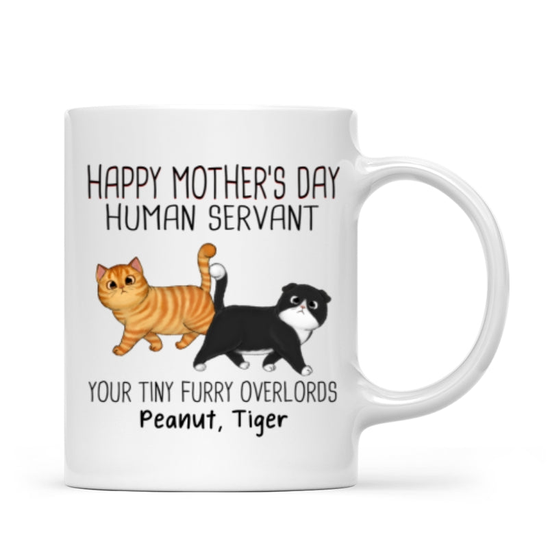 Walking Fluffy Cats Happy Mother‘s Day Cat Human Servant Personalized Mug