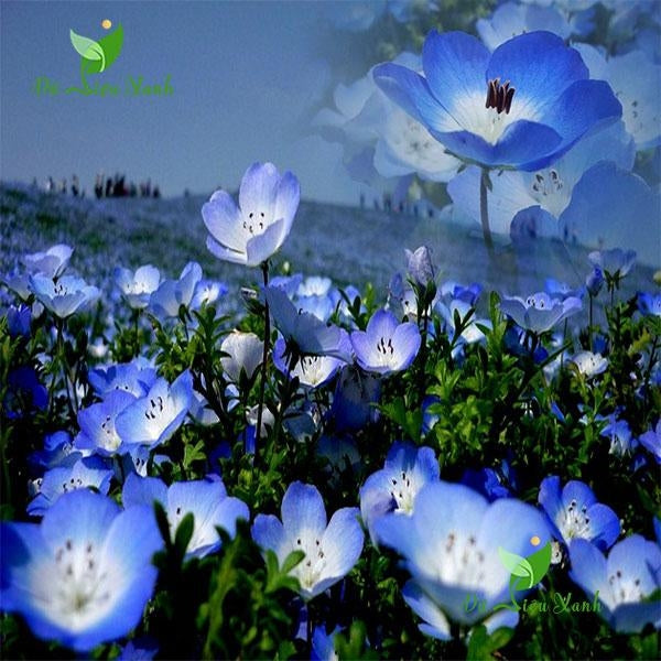 Test Text 2
