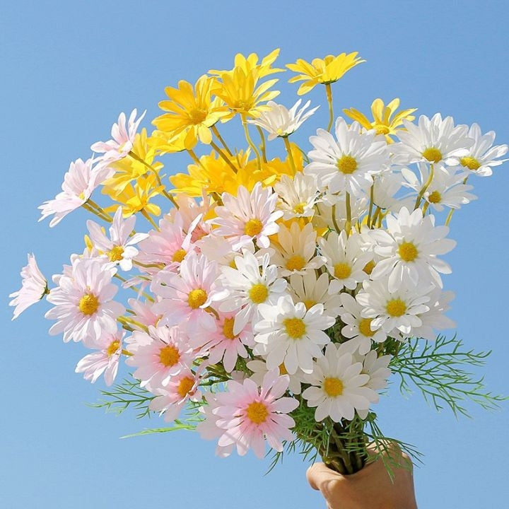 Test Text 2