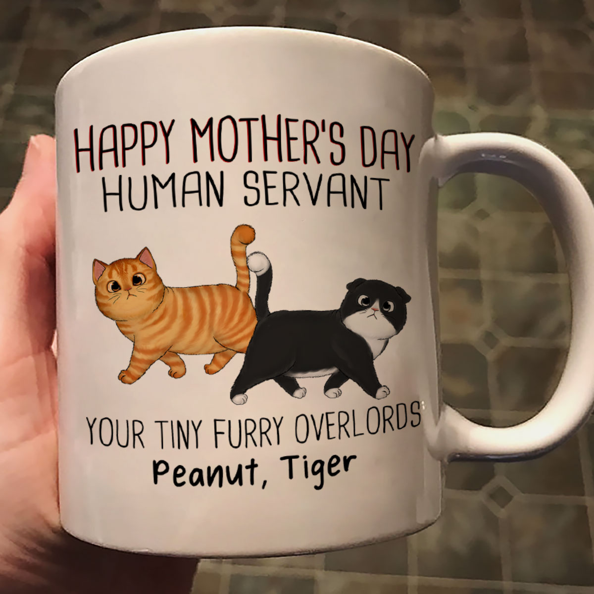 Walking Fluffy Cats Happy Mother‘s Day Cat Human Servant Personalized Mug