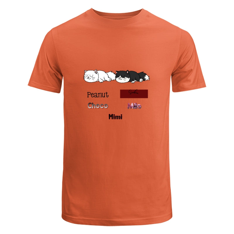 FN_Shopify Version_2