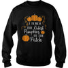 I TEACH THE CUTEST PUMPKINS IN THE PATCH T-SHIRT