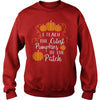 I TEACH THE CUTEST PUMPKINS IN THE PATCH T-SHIRT