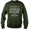 THIS IS WHAT AN AWESOME BIG BROTHER LOOKS LIKE T-SHIRT