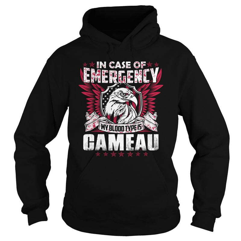 Funny Vintage Style Tshirt for CAMEAU