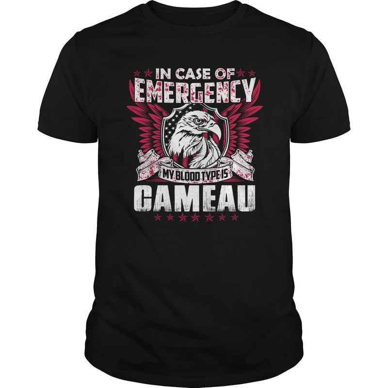 Funny Vintage Style Tshirt for CAMEAU