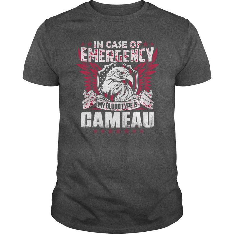 Funny Vintage Style Tshirt for CAMEAU