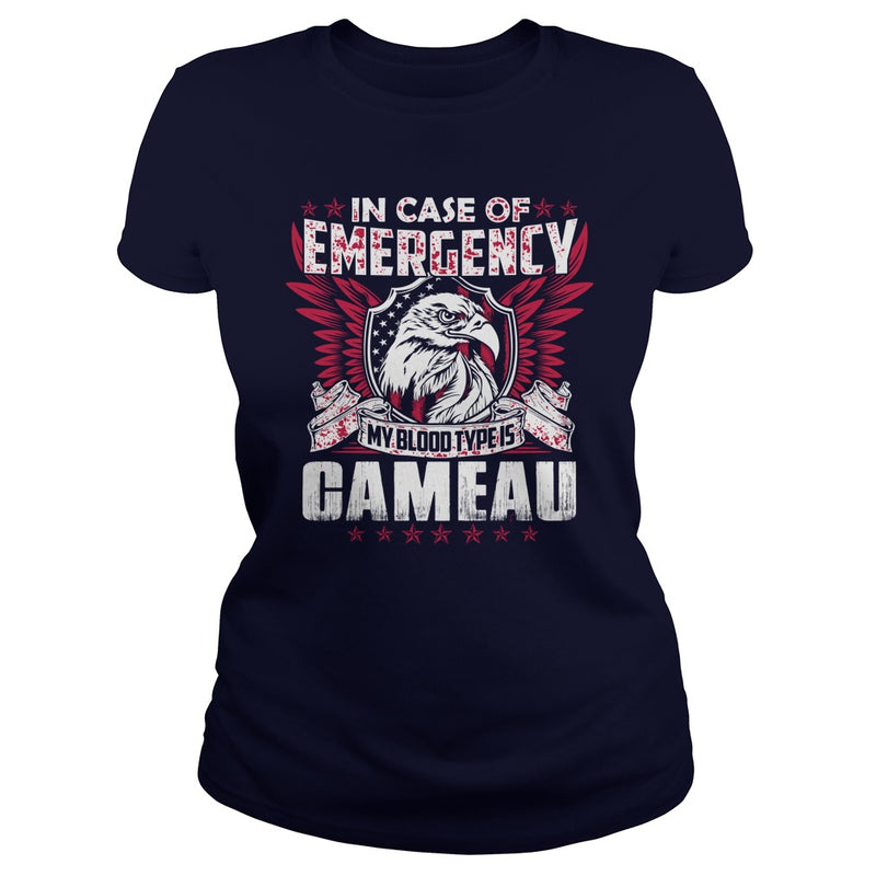 Funny Vintage Style Tshirt for CAMEAU