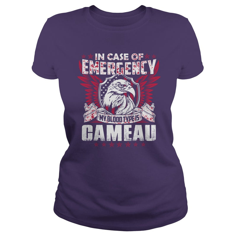 Funny Vintage Style Tshirt for CAMEAU