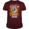 Mentor- before