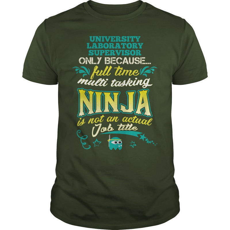 UNIVERSITY LABORATORY SUPERVISOR